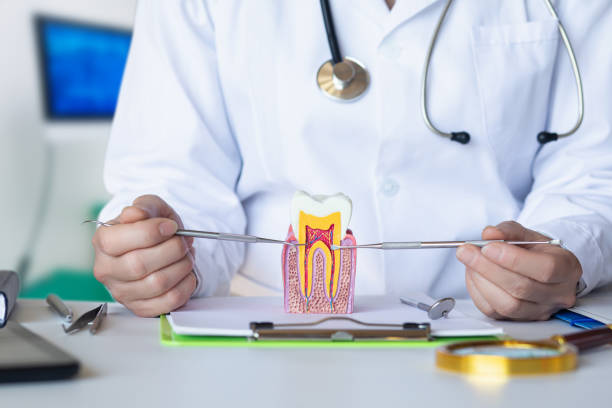 Best Emergency Dental Care for Abscessed Tooth in Kountze, TX